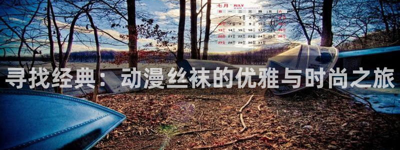 age动漫官网免费：寻找经典：动漫丝袜的优雅与时尚之旅
