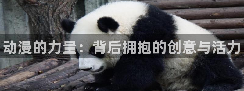 age动漫官方网站入口