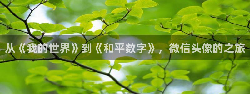 age动漫官网在线观看动漫