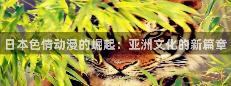 age动漫下